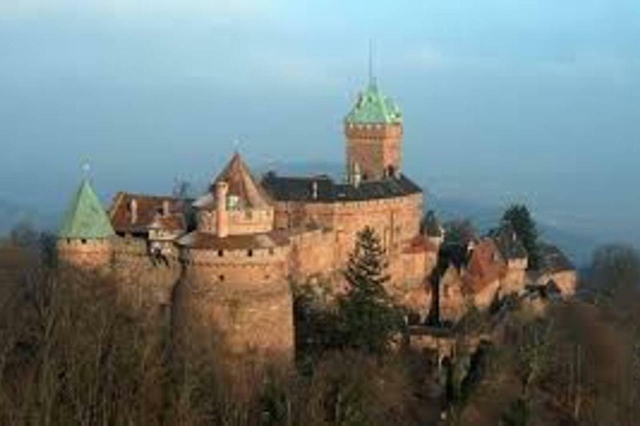 Nid douillet à OBERNAI Appartamento Esterno foto